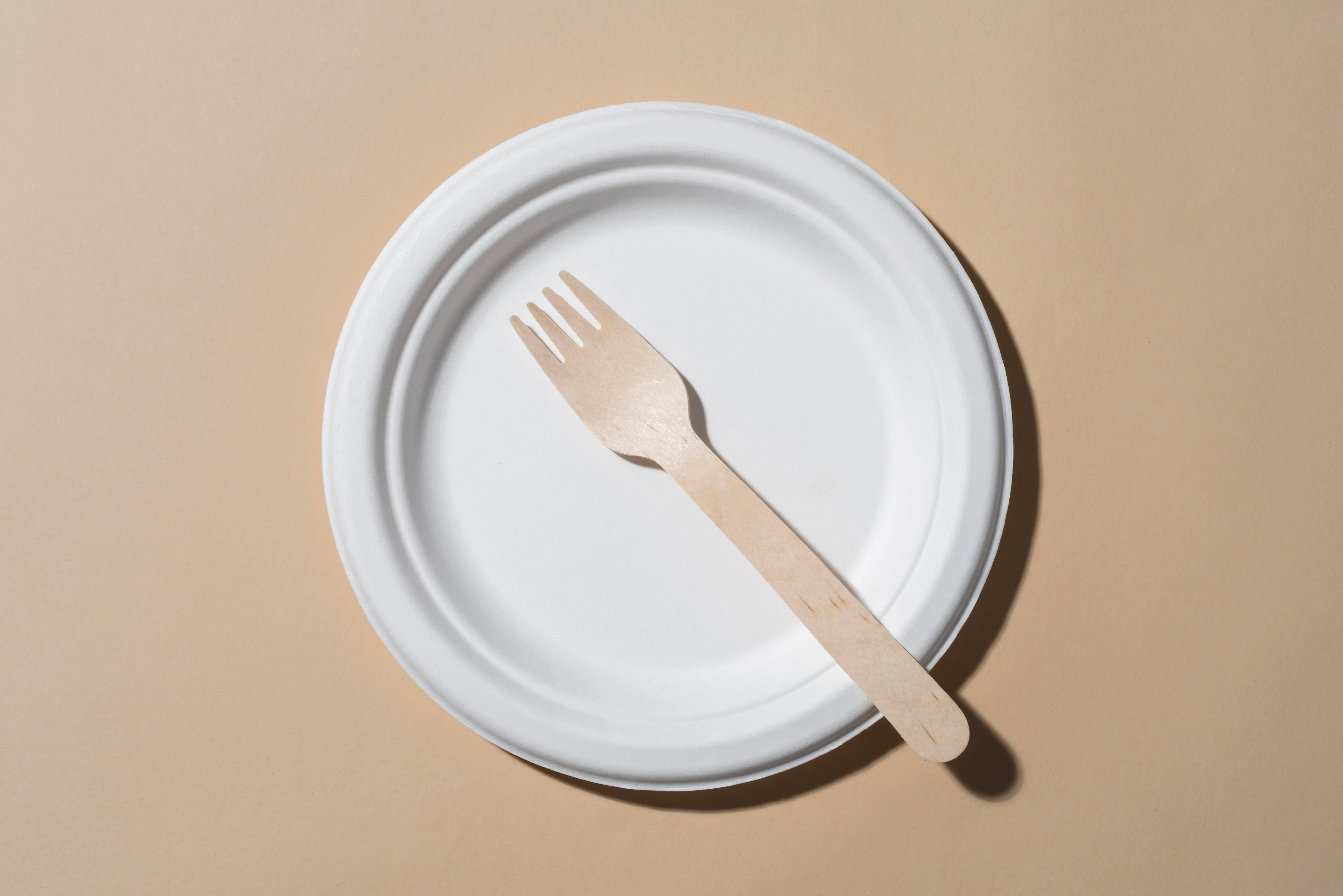 Eco Friendly Biodegradable Sugarcane Bagasse Round Plates Wholesale Manufacturer Exporter